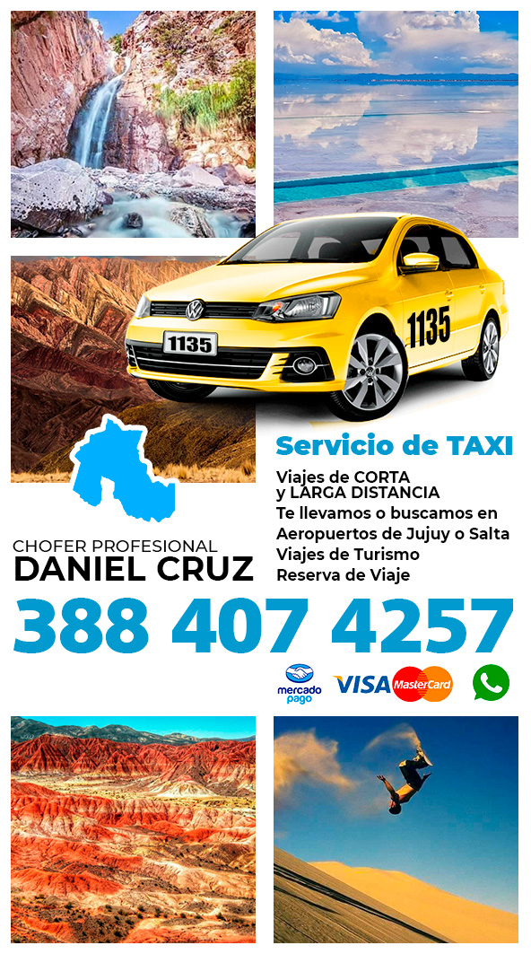 Servicio de Taxi - Lic 1135