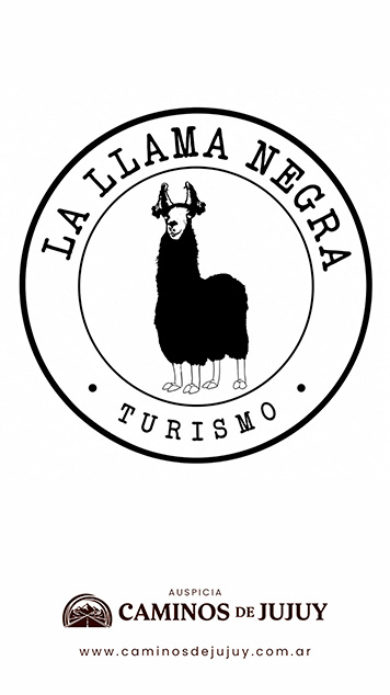 LA LLAMA NEGRA